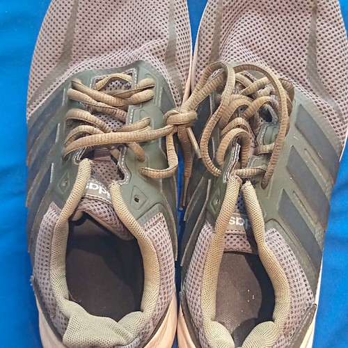 Adidas men low top - low,
